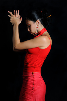 Flamenco dansare